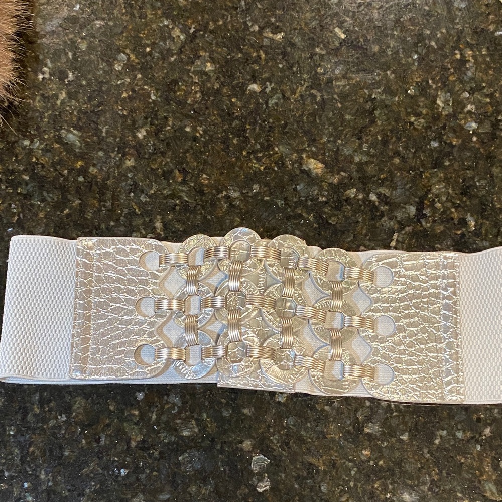 Elegant Silver Elastic Belt